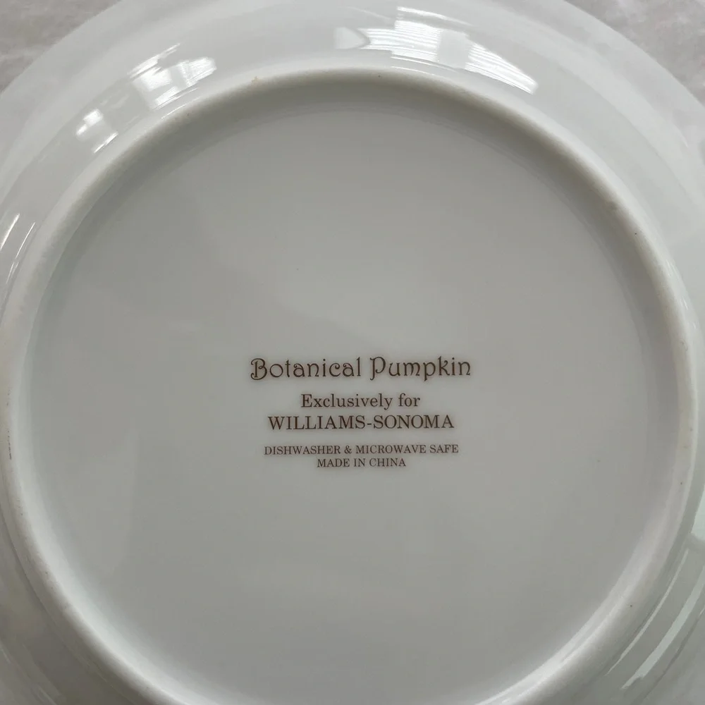 Williams Sonoma Botanical Pumpkin Dinner Plates 11” diameter (Set of 2)